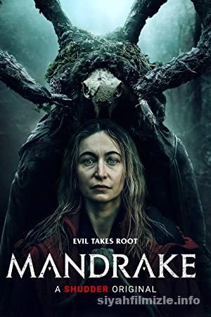 Mandrake 2022 Filmi Türkçe Dublaj Altyazılı Full izle