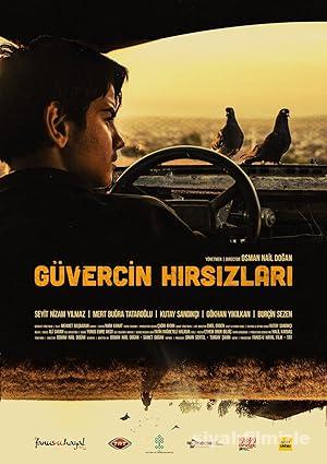 Güvercin Hırsızları 2018 Yerli Filmi Full Sansürsüz izle